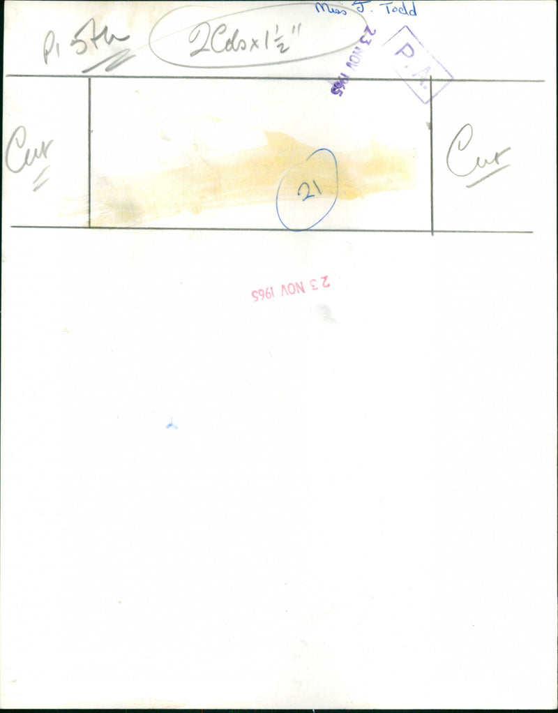 Judith Todd - Vintage Photograph