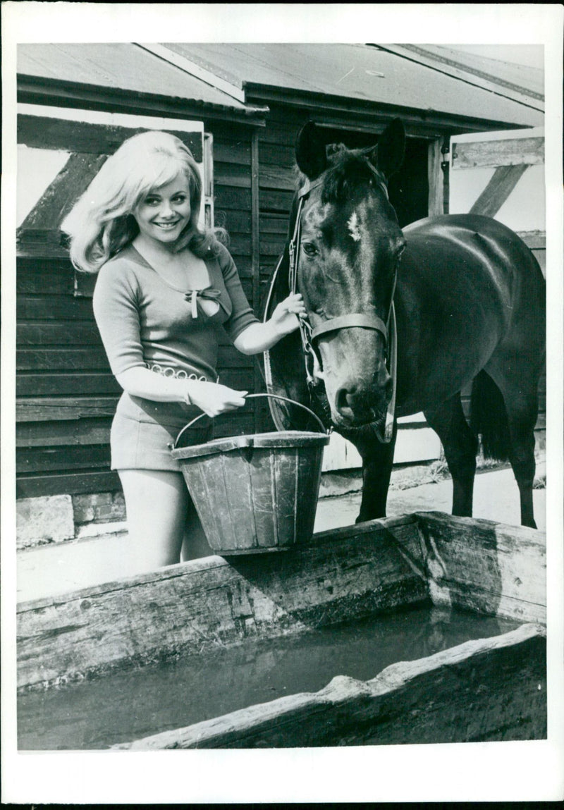 Anne Aston - Vintage Photograph