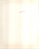 Ace - Vintage Photograph