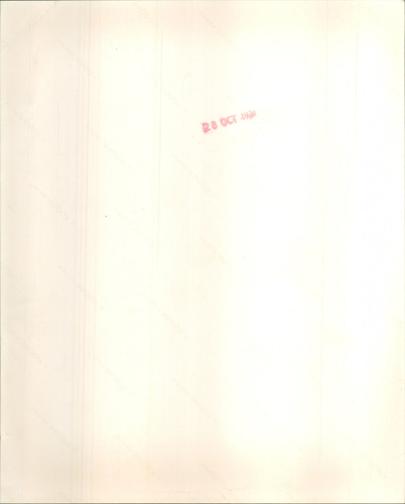 Ace - Vintage Photograph