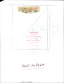 Herb Alpert - Vintage Photograph