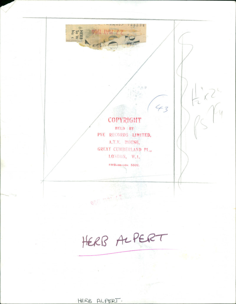 Herb Alpert - Vintage Photograph