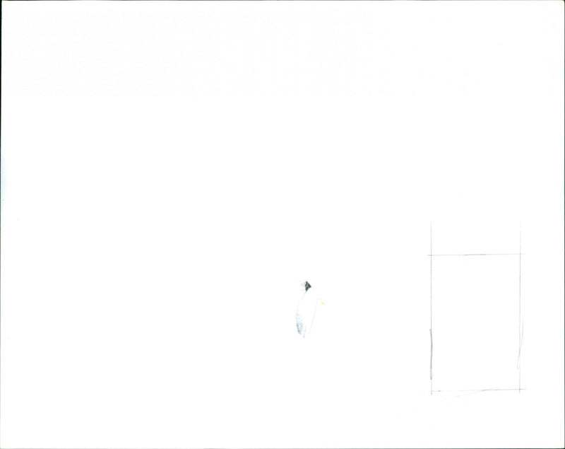 Altan - Vintage Photograph