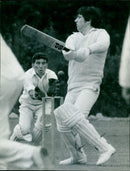 Steve Robins - Vintage Photograph