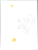 Lex Barker - Vintage Photograph