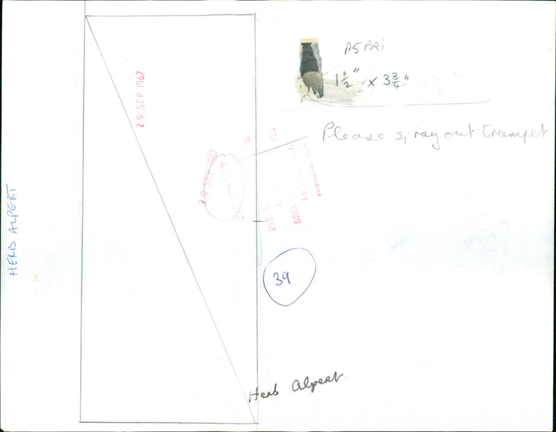 Herb Alpert - Vintage Photograph