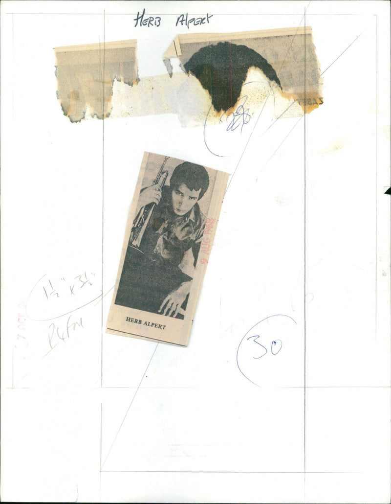 Herb Alpert - Vintage Photograph