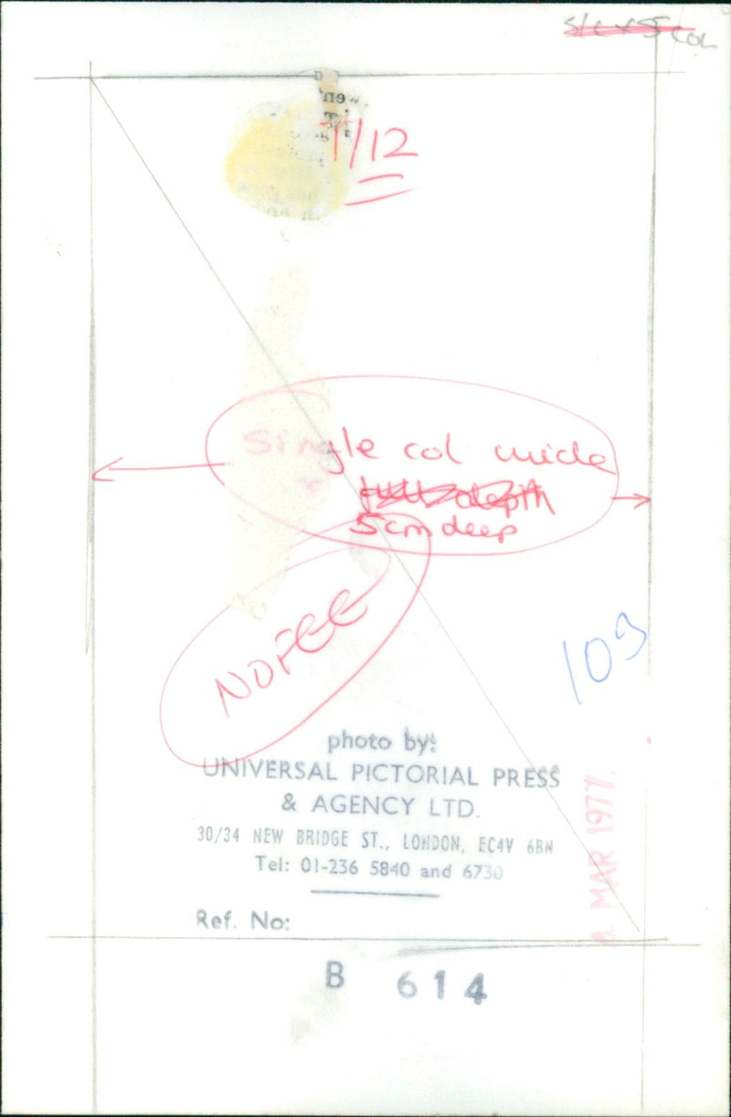 David Alner - Vintage Photograph