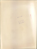 Christian Barnard with wife sewing valves to be used in his heart surgery in Cape town - Vintage Photograph