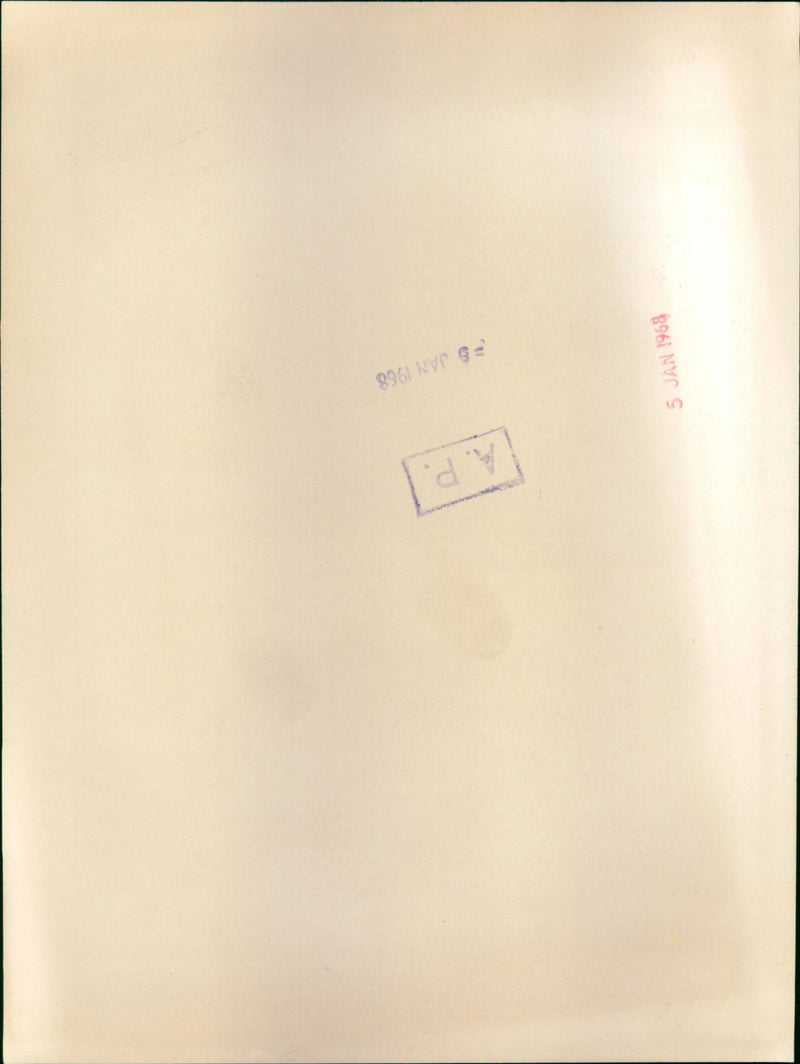 Christian Barnard with wife sewing valves to be used in his heart surgery in Cape town - Vintage Photograph