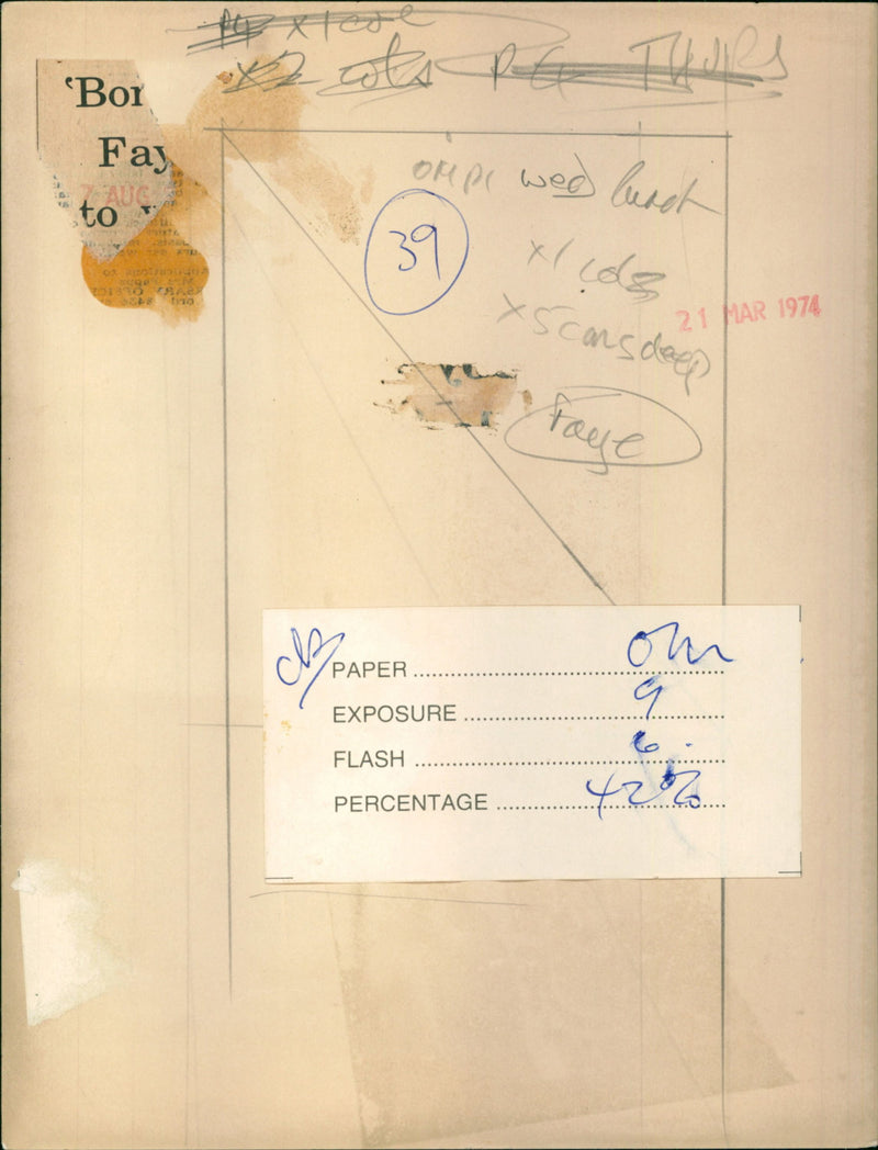 Faye Dunaway - Vintage Photograph