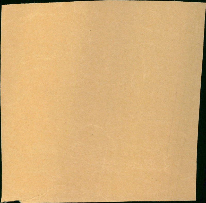 Dunaway Faye - Vintage Photograph