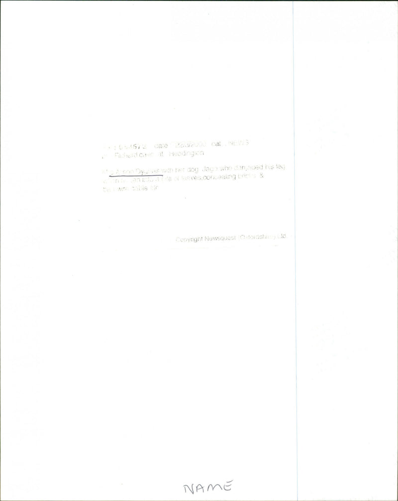 Alison Dygnas - Vintage Photograph