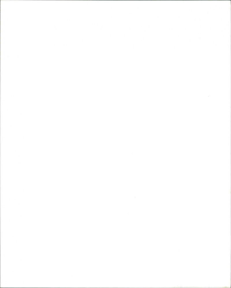 Tanita Tikaram - Vintage Photograph