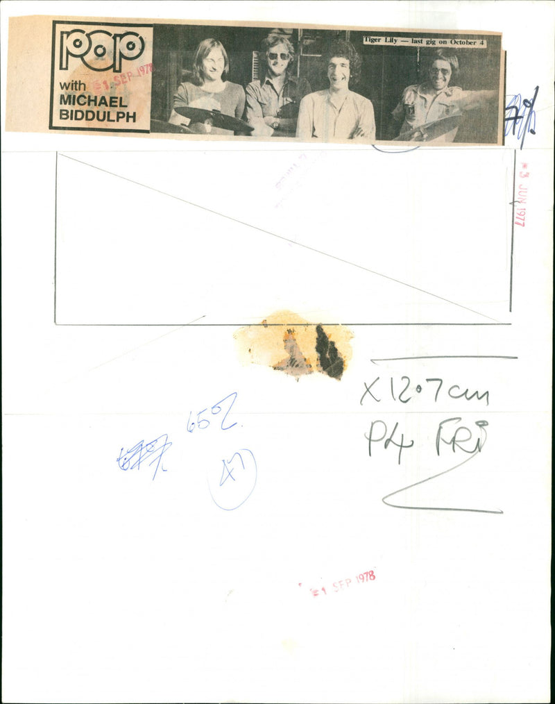 Tiger Lily - Vintage Photograph