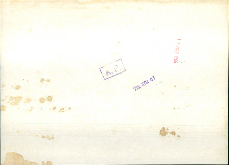 Prince Philip, Duke of Edinburgh - Vintage Photograph