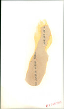 The Duke of Edinburgh, Mr Nehru - Vintage Photograph