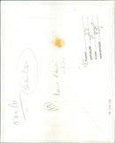 A group of Dobermans in a field on a sunny day. - Vintage Photograph