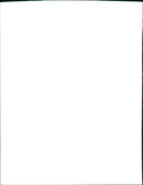 Bill Murray, Ernie Hudson, Dan Aykroyd and Harold Ramis star in the upcoming movie Ghostbusters II. - Vintage Photograph