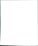 Ernie Hudson, Dan Aykroyd, Bill Murray, and Harold Ramis filming "Ghostbusters II" - Vintage Photograph