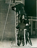Members of the French Foreign Legion march during a military parade on September 16, 1965. - Vintage Photograph