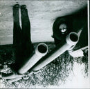 A group of people attending a film screening at the Expoodshein in Berlin, Germany. - Vintage Photograph