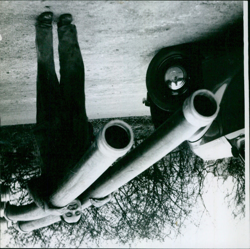 A group of people attending a film screening at the Expoodshein in Berlin, Germany. - Vintage Photograph