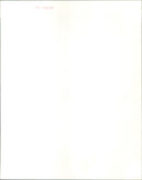 Rae Dawn Chong stars in the film "Soul Man". - Vintage Photograph