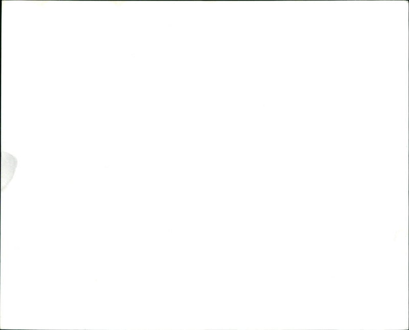 Donald Sutherland and Elliott Gould in the 1977 film "Spys." - Vintage Photograph