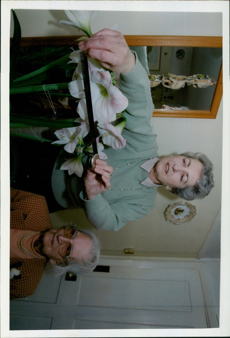 Elizabeth Brown, 104, and her daughter Heather, 66, admire an Amaryllis in Wallingford. - Vintage Photograph