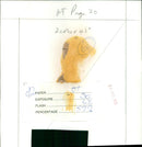 A display of various firearms models and dummy shells. - Vintage Photograph