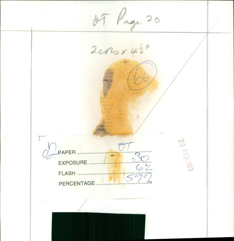 A display of various firearms models and dummy shells. - Vintage Photograph