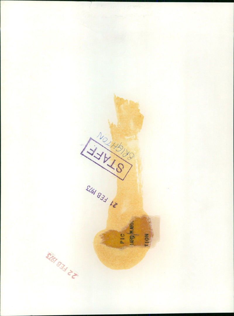 A Colt Government Model 1911 handgun is pictured with several other pistols. - Vintage Photograph