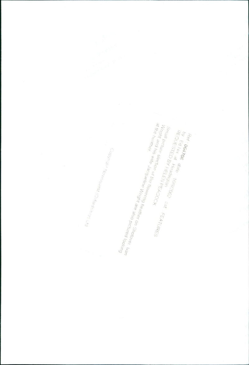 Ivan and Jacqueline Wright admiring the flowering heather on Shotover. - Vintage Photograph