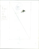 The Dust Witch (Pam Grier) from the movie "Something Wicked This Way Comes" dispatches a tarantula. - Vintage Photograph