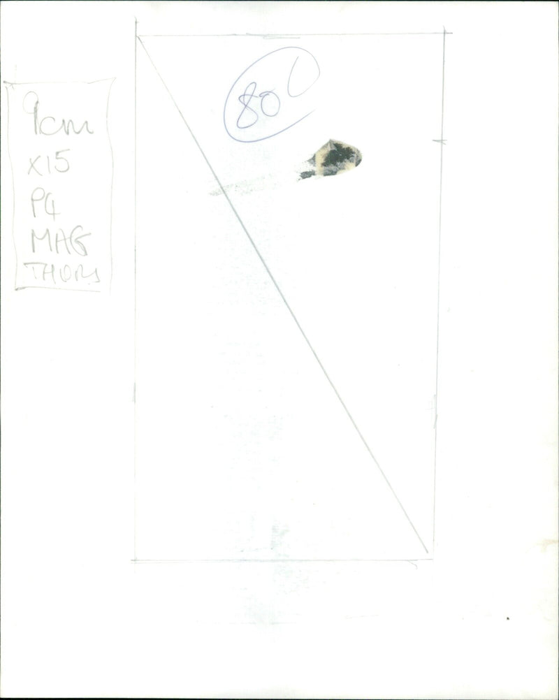 The Dust Witch (Pam Grier) from the movie "Something Wicked This Way Comes" dispatches a tarantula. - Vintage Photograph