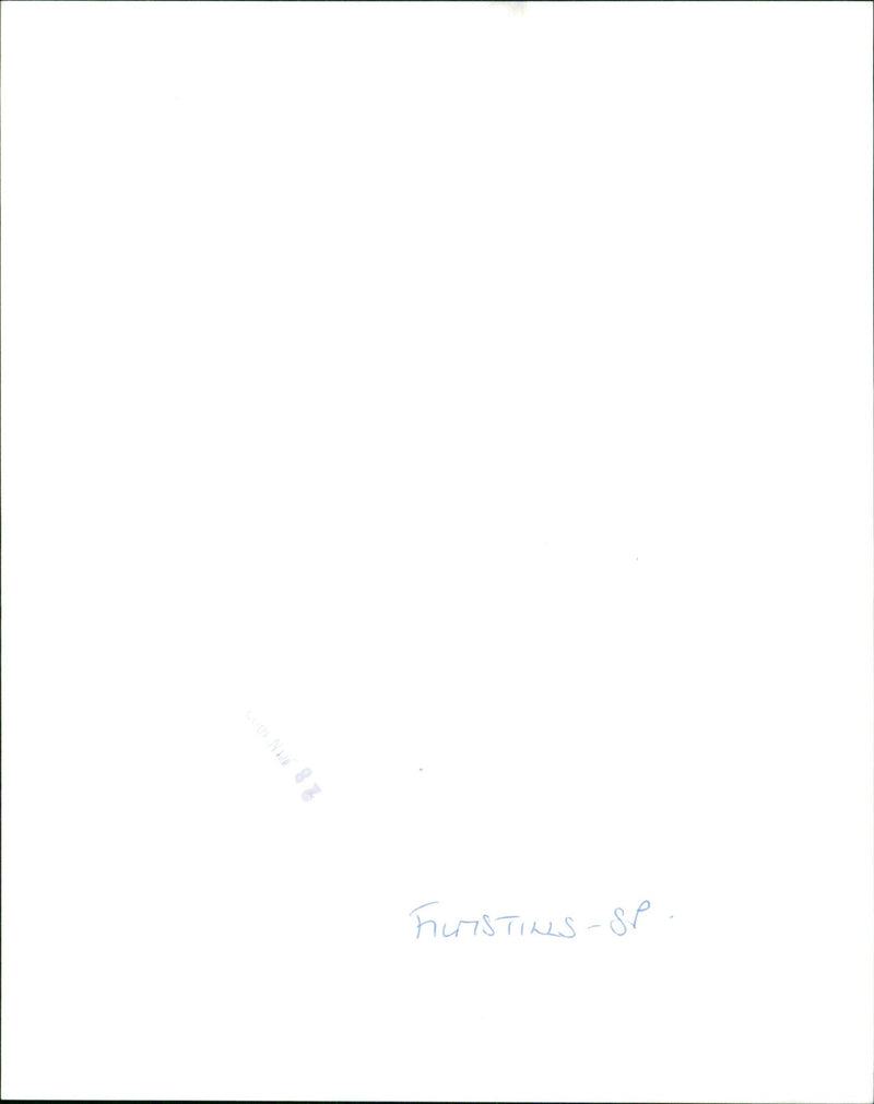 Barbara Hershey as the Duchess Lucinda in the 1992 comedy film Splitting Heirs. - Vintage Photograph