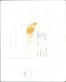 A scene from the 1970 film "Soldier Blue" directed by Ralph Nelson. - Vintage Photograph