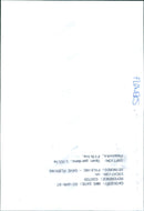 A vibrant array of flowers blooming in the garden. - Vintage Photograph