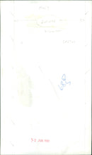 A close-up view of a cactus in a desert landscape. - Vintage Photograph