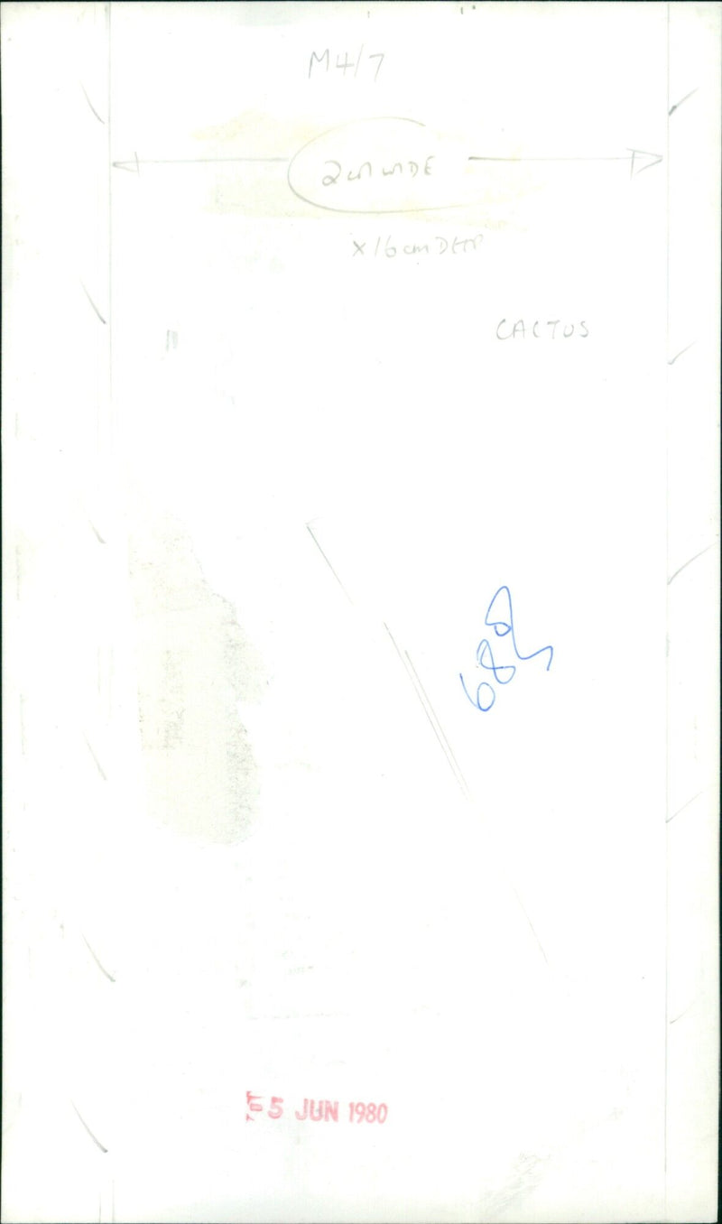 A close-up view of a cactus in a desert landscape. - Vintage Photograph