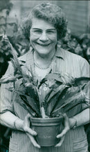 A close-up view of a cactus in a desert landscape. - Vintage Photograph