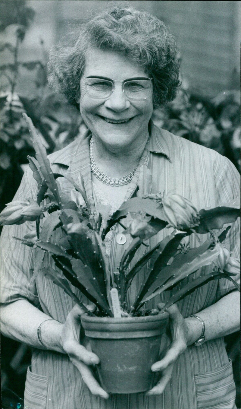 A close-up view of a cactus in a desert landscape. - Vintage Photograph