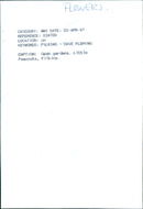 A garden in full bloom at Little Peacocks in Filkins. - Vintage Photograph