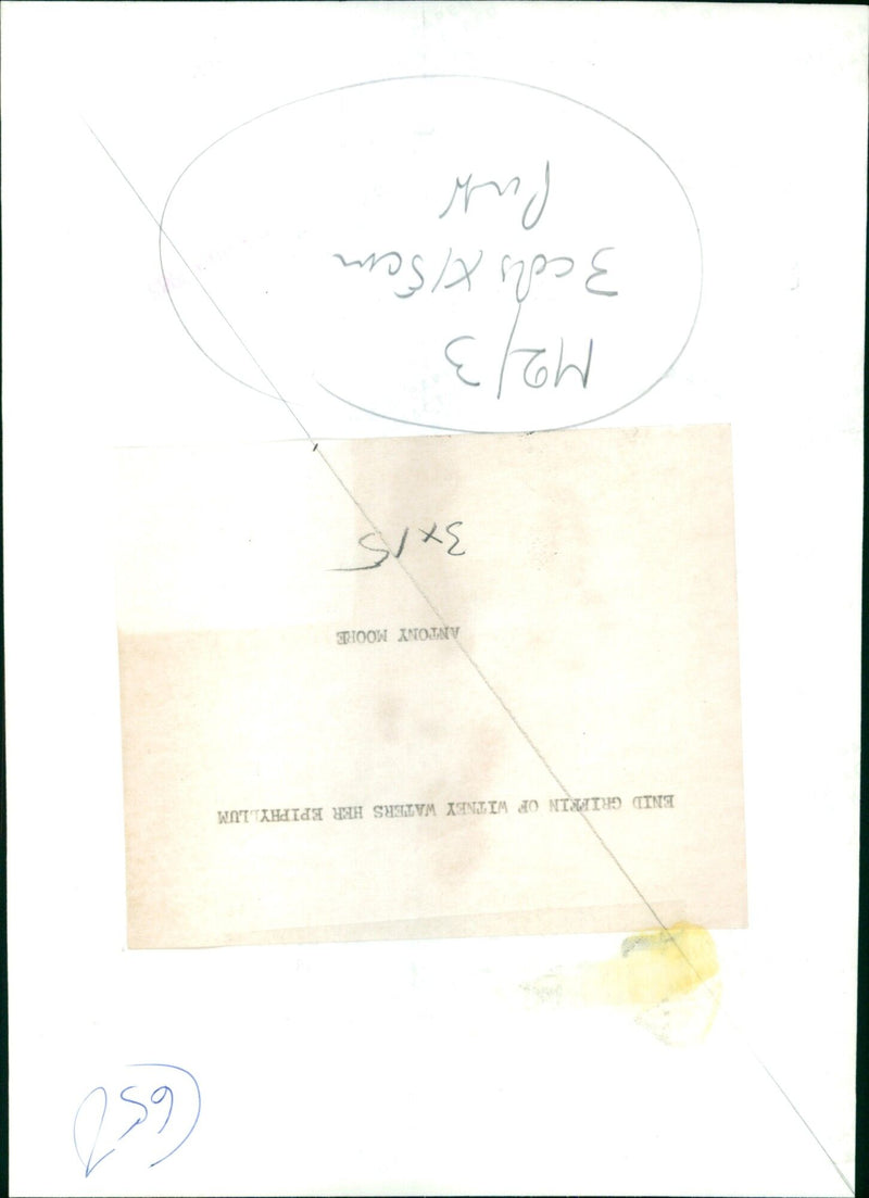 Enid Griffin waters her epiphyllum in Witney. - Vintage Photograph