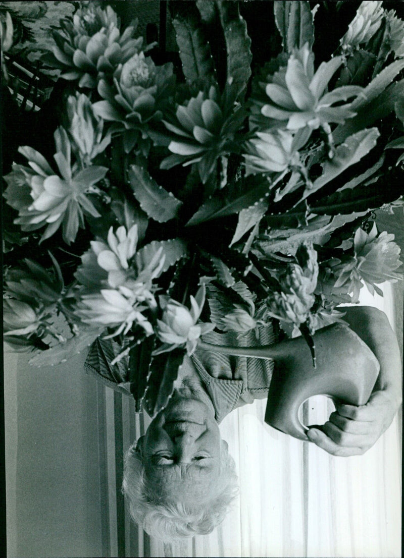 Enid Griffin waters her epiphyllum in Witney. - Vintage Photograph