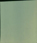 A cactus plant blooming with vibrant pink flowers. - Vintage Photograph