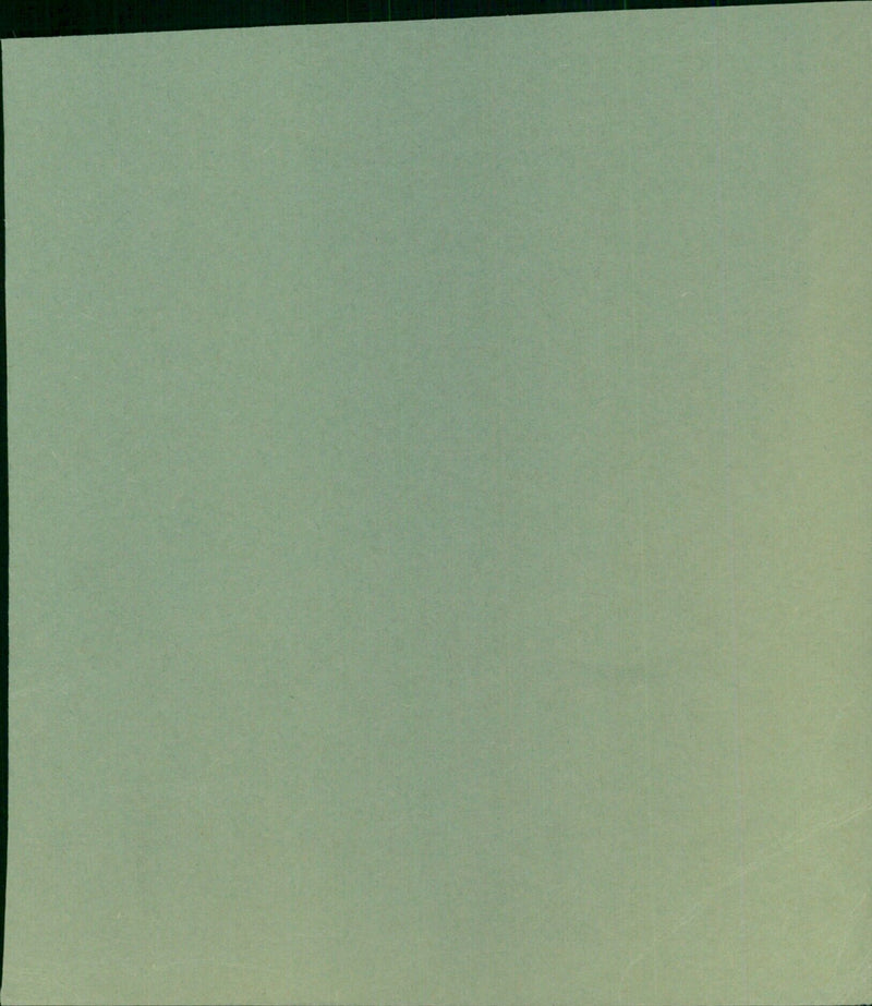 A cactus plant blooming with vibrant pink flowers. - Vintage Photograph