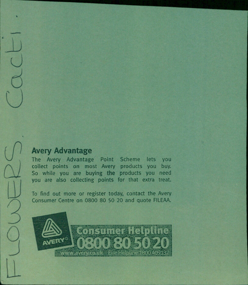 A cactus plant blooming with vibrant pink flowers. - Vintage Photograph