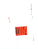 A field of flowers and plants in bloom. - Vintage Photograph